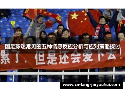 国足球迷常见的五种情感反应分析与应对策略探讨
