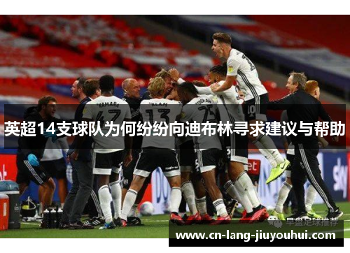 英超14支球队为何纷纷向迪布林寻求建议与帮助