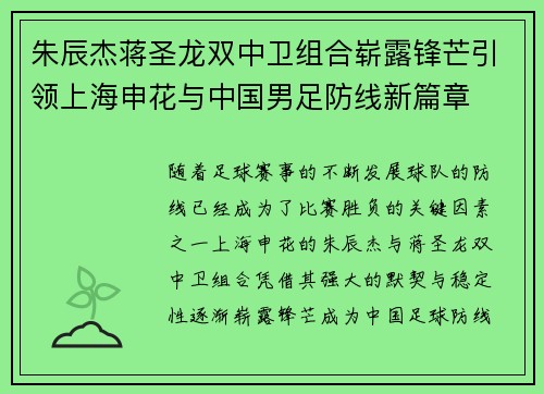 朱辰杰蒋圣龙双中卫组合崭露锋芒引领上海申花与中国男足防线新篇章