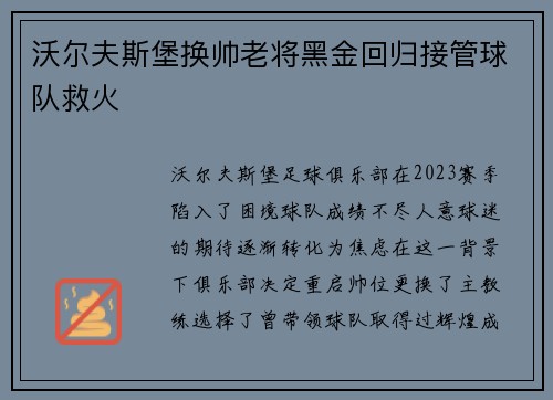 沃尔夫斯堡换帅老将黑金回归接管球队救火
